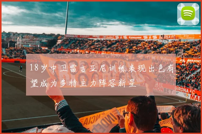 18岁中卫雷吉亚尼训练表现出色有望成为多特主力阵容新星