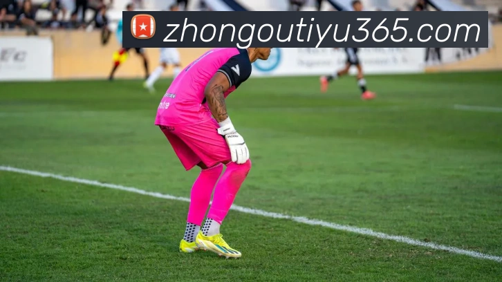 App Interface Preview